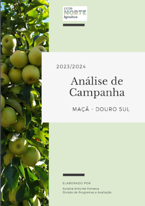 MAÇA - ANÁLISE DA CAMPANHA 2023/2024